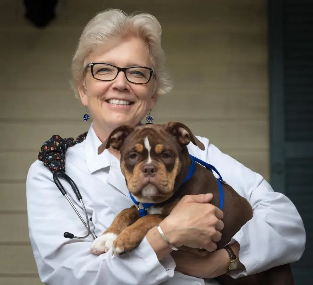 Dr. Evelyn Reed, Founder & Chief Veterinarian