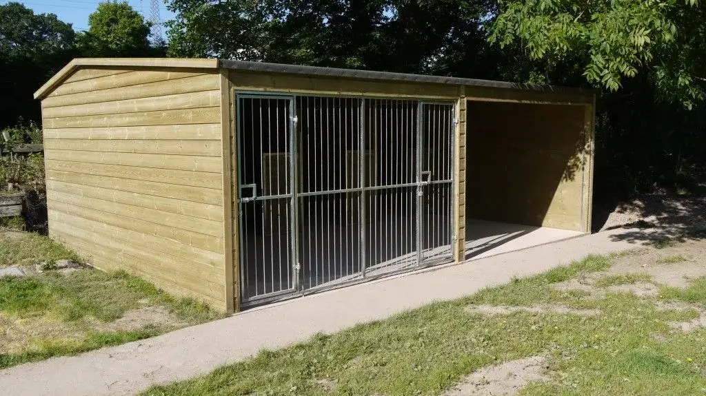 Spacious and clean dog kennels