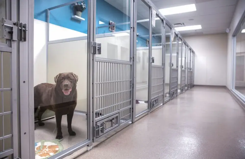 A local business storefront with a 'We Support Pawsitive Haven' sign