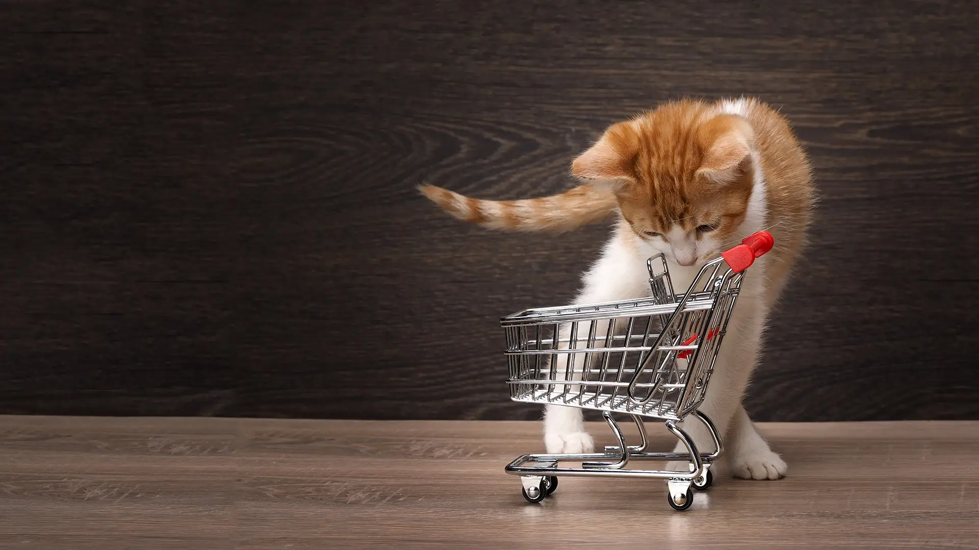 Shopping cart with pet supplies