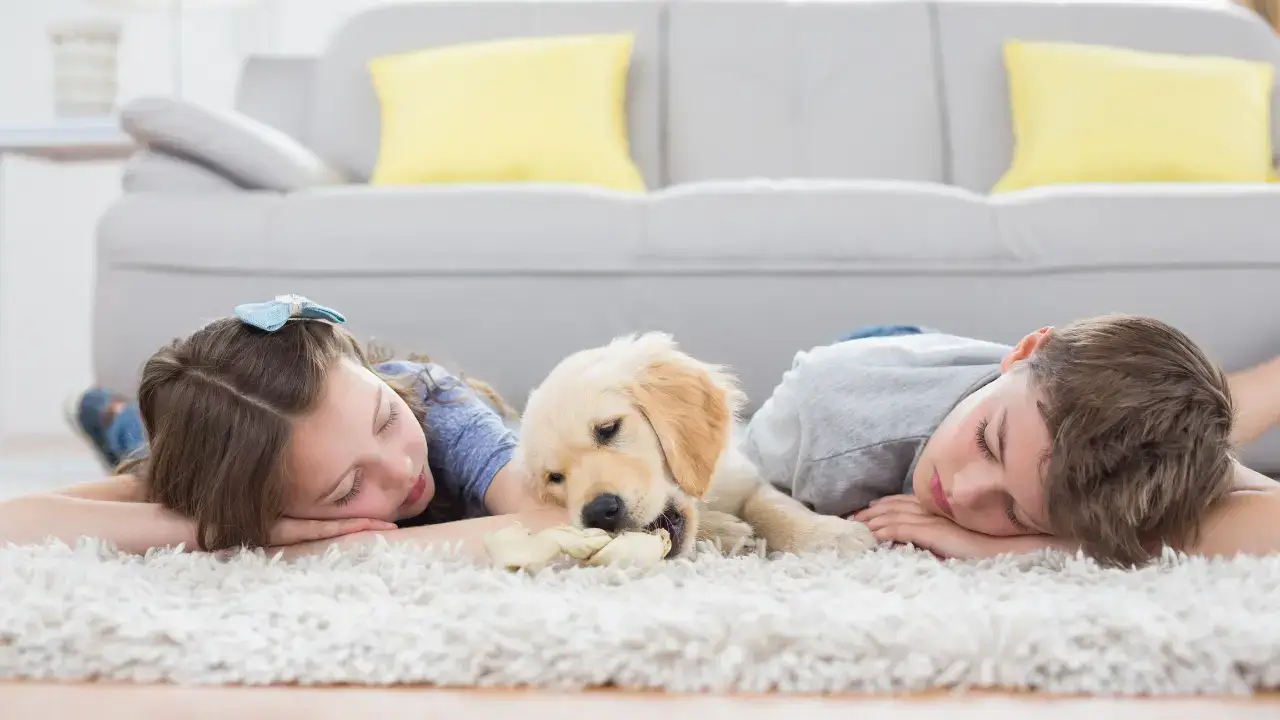A tidy and safe living room