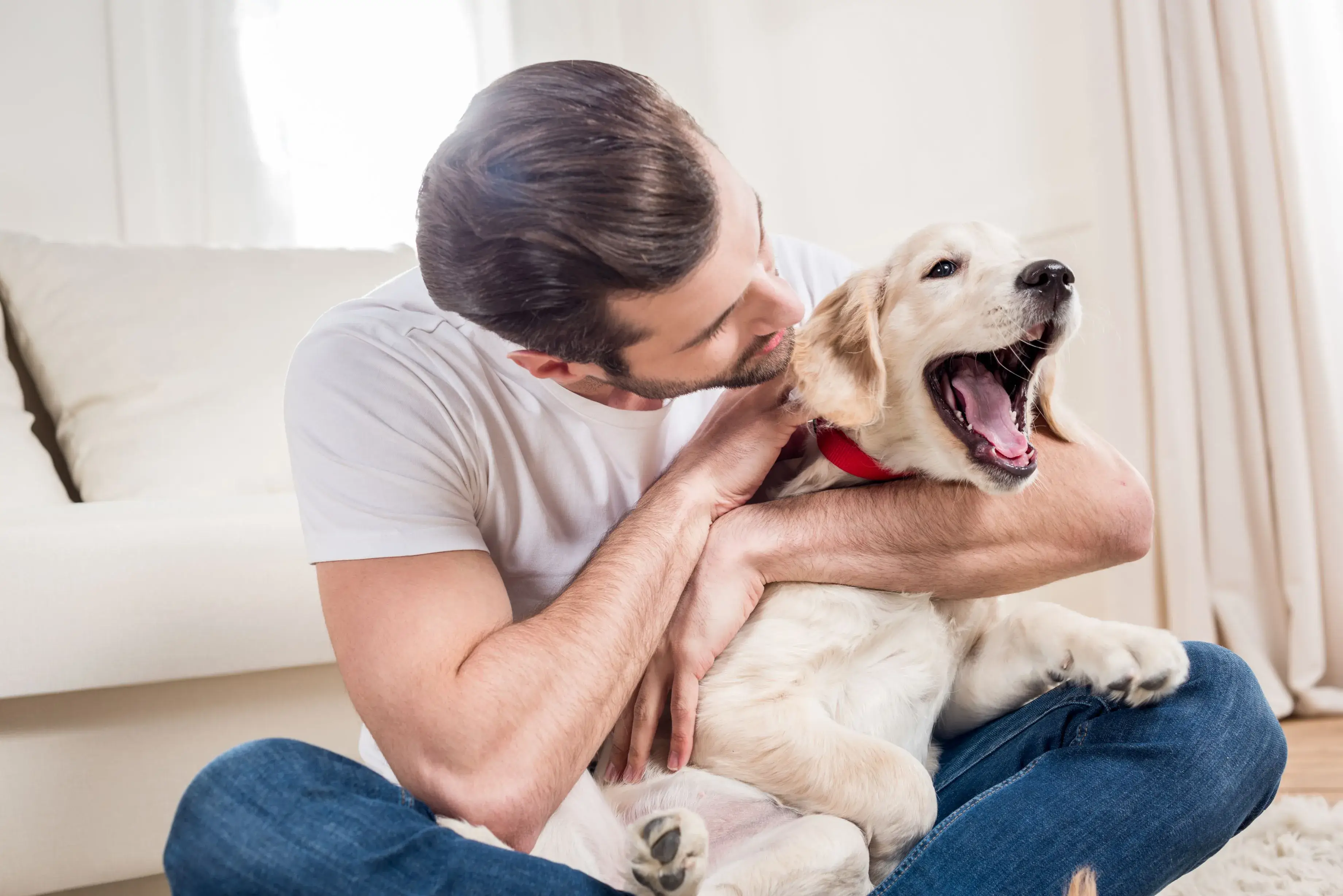 A person patiently sitting with a shy dog