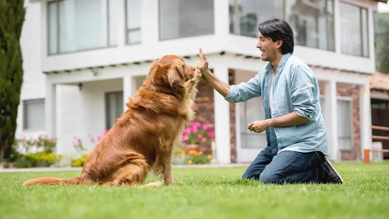 People celebrating a small training success with a dog